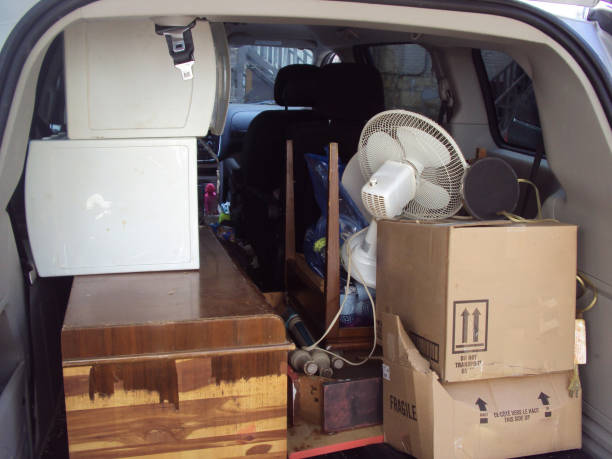 Best Carpet Removal and Disposal  in Dandridge, TN