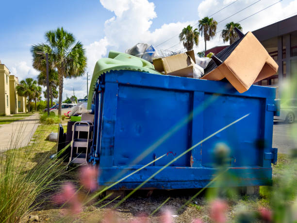 Best Furniture Removal  in Dandridge, TN